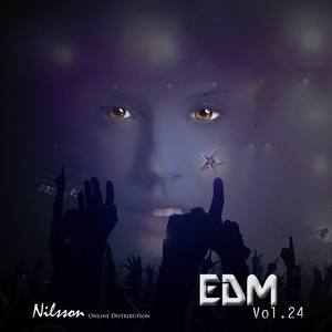 Go (feat. Luna Blake) (Electro Mix)