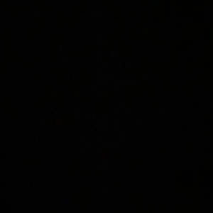 Yvngxdaedae x 1mg_dree (opps on deck) (Explicit)