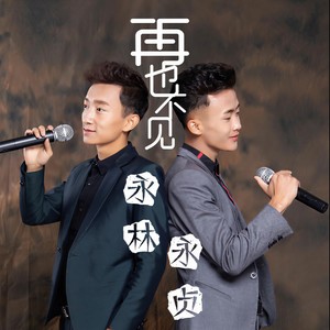 再也不见封面