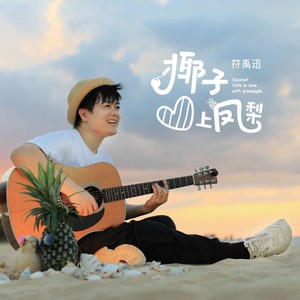 椰子爱上凤梨封面