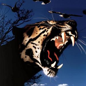Kitty (Explicit)
