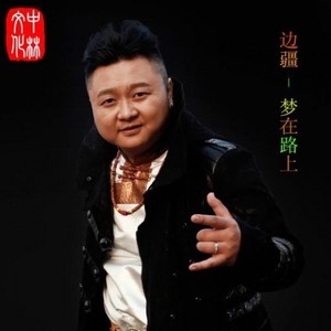 横刀立马只为你