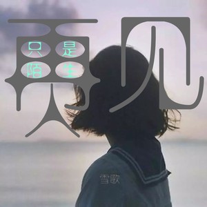 再见只是陌生人