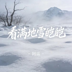 看满地雪皑皑-阿雷