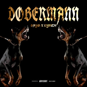 Dobermann (Explicit)