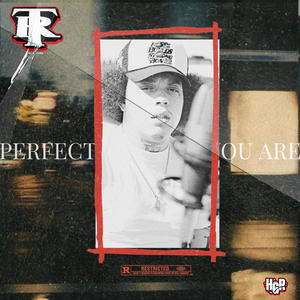 Perfect The Way You Are (Explicit)