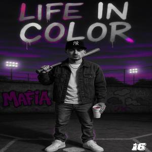 Life in Color (Explicit)