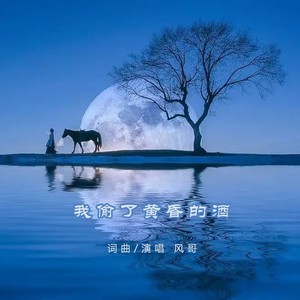 我偷了黄昏的酒