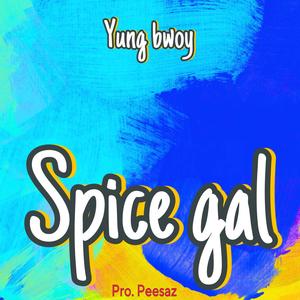 Spice gal