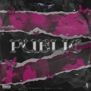 public (Explicit)