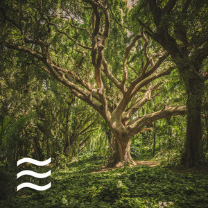 Likable Sleeping Soft Noise