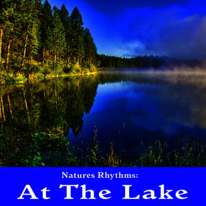 Natures Rhythms: At the Lake