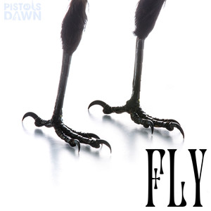 Fly