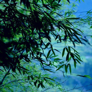 【剑三/霸刀】刀引