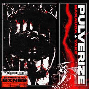 BXNES - PULVERIZE