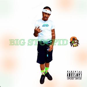 Big Stoopid (Explicit)