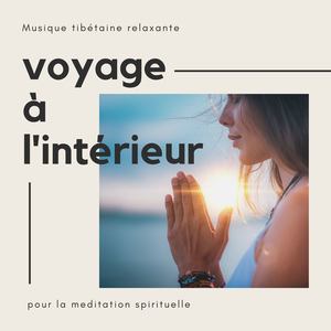 Voyage à l'intérieur