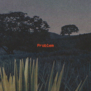 Problem