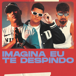 Imagina eu te despindo (Explicit)