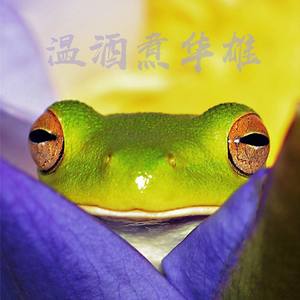 快追上那个沙雕（NO.56）