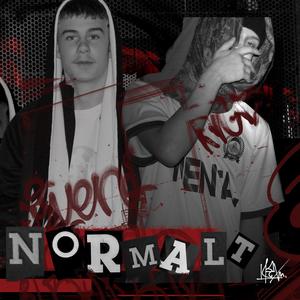 Normalt (feat. ERGO) [Explicit]