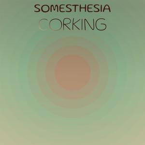 Somesthesia Corking