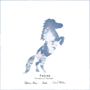 Fading (David Heine Remix)