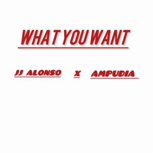 What You Want (feat. Ampudia) [Explicit]