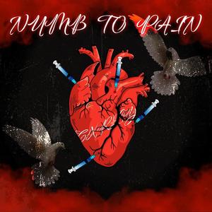 Numb To Pain (Explicit)