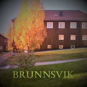 Brunnsvik