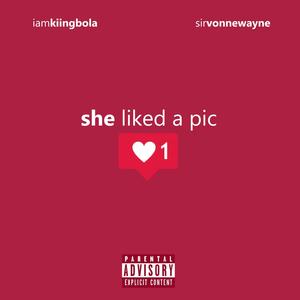 She Liked A Pic (Explicit)