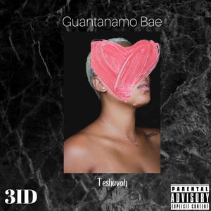 Guantanamo Bae (Explicit)