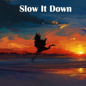 Slow It Down