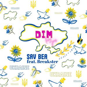 DIM (feat. Breakster)