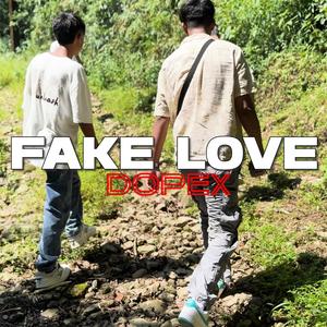 Fake Love (Explicit)
