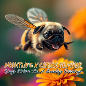 Easy Going On A Sunday Evening