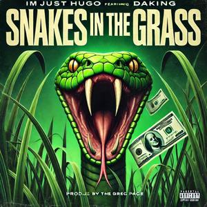 Snakes in the Grass (feat. DaKing) [Explicit]