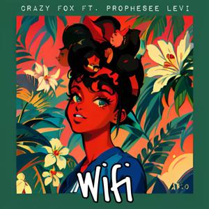 Wifi (Explicit)