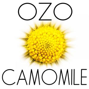 CAMOMILE