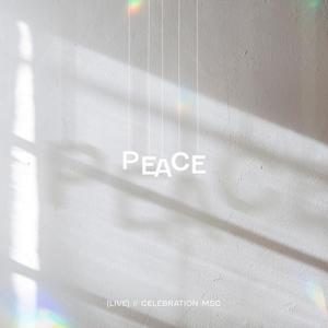 Peace (feat. Lauren Powell) [LIVE]