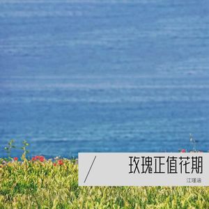 我会自己上厕所