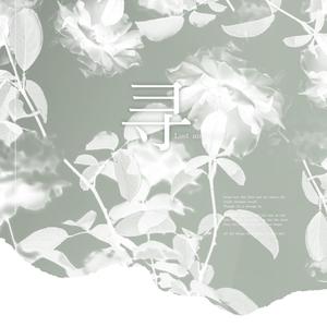 轮回之境 - 阿空封面