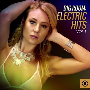 Big Room: Electric Hits, Vol. 1