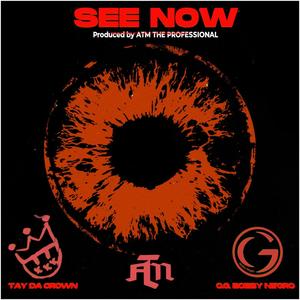 See Now (feat. Tay Da Crown & ATM The Professional) [Explicit]