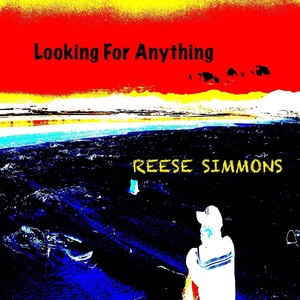 Looking for Anything (Explicit)