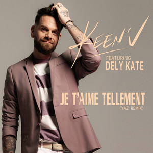 Je t'aime tellement (feat. Dely Kate) (Yaz Remix)