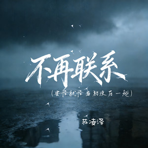 不再联系（要怪就怪当初没在一起）