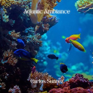 Aquatic Ambience (Piano Version)