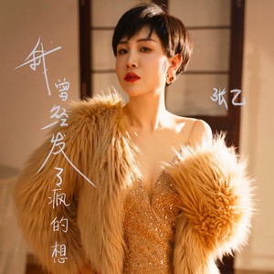 我曾经发了疯的想