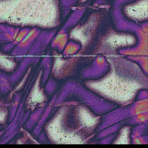 Seal (feat. kxngz) (Explicit)